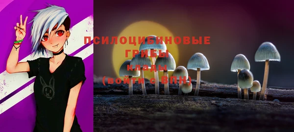 mix Абаза