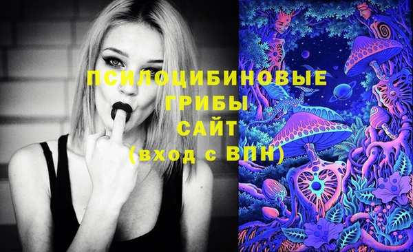 соль ск Абдулино