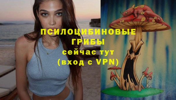 соль ск Абдулино