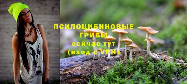 mix Абаза