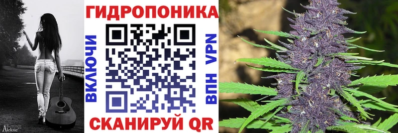 Марихуана THC 21%  shop формула  Новое Девяткино  hydra ссылки 